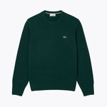 BLOOMSBURY Crew Neck Sweater in forest green